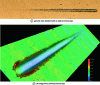 Figure 8 - Confocal image of a progressively loaded scratch of a 2.8 μm thick TiN coating on a steel substrate