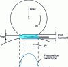 Figure 2 - Contact profile and pressure field in the EHD regime