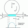 Figure 2 - Contact profile and pressure field in the EHD regime