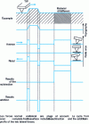 Figure 40 - Diagram of tip behavior for a complete surface scan cycle [25].