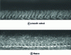 Figure 35 - Examples of very hairy textile surfaces (photo LPMT)