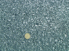 Figure 24 - Photo of a road surface affected by indentation and glazing phenomena