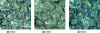 Figure 13 - Particle deposition on a road surface (from [16])