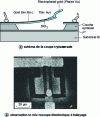 Figure 1 - The first ohmic MEMS microrelay [1]