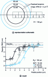 Figure 10 - Evolution of RMS roughness along a residual indentation after spherical nano-indentation on a thin gold film