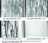 Figure 10 - Observation by optical microscopy of the traces left on the sheet as the rate of cylinder coverage by the transfer layer increases (from [5]).