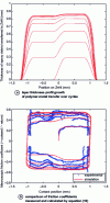 Figure 6 - Result of applying the model given by equations (1 to 10) to the test in figure 3