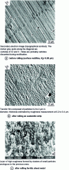 Figure 8 - Cylinder surface aspects (from [5])