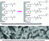 Figure 43 - Schematic diagram of PP mat modification by hydrophilic polyelectrolyte (PSPMA) grafting (polymer brush)