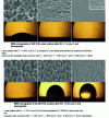 Figure 47 - SEM micrographs of the surface of AISI 316L steel (after [30])