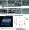 Figure 50 - Laser surface treatment - SEM images, three-dimensional morphology of structures and parameter map (fluence, velocity) (from [36])