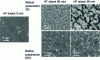 Figure 53 - SEM images of unpassivated (E) and passivated (EP) SS 316 etched with HF acid (50°C) for 0, 30, 60 and 90 min etch times (after [38])