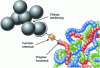 Figure 15 - Functional polymers