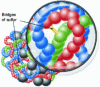 Figure 9 - Sulfur bridge linking two molecular chains