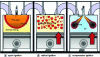 Figure 20 - Spark-ignition (left), radical-ignition (center) and compression-ignition (right) engines