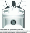 Figure 8 - Gasoline engine (spark ignition)