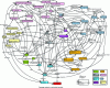 Figure 3 - Diagram of interactions between mass transit rail components and subsystems