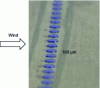 Figure 24 - Example of a 100 µm thick transition band (source: Onera)