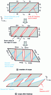 Figure 28 - Interlaminar interface fracture in mode II plan: cusps creation and cusps after fracture