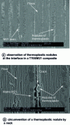 Figure 31 - Observation of thermoplastic nodules at the interface in a T700/M21 composite and bypassing of a thermoplastic nodule by a crack (after [40])