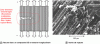 Figure 18 - Cracking in a UD composite in longitudinal tension and fracture surfaces