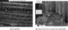 Figure 20 - Failure of a 0/90 laminate (from [34])