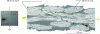 Figure 24 - Translaminar fracture in a [0/90]2 satin 8 glass/epoxy fabric loaded in cyclic tension (from [33]).