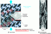 Figure 34 - Mixed-mode fracture in a notched carbon/epoxy composite specimen with [± 45°] oriented woven ply drape: front view and left view of the laminate edge (after [41]).