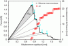 Figure 9 - Illustration of the area method applied to a quasi-isotropic C/PEEK composite material (CT specimen).