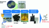 Figure 25 - Extraction of hydrocarbons and fatty acids: HC-HEFA-SPK or H-H SPK (after [64])