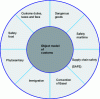 Figure 4 - Areas covered by the WCO object model