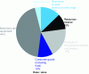 Figure 9 - Structure of French imports in 2020 (source: Observatory of Economic Complexity)