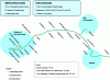 Figure 9 - Diagram of an exclusive right-of-way public transport line in Martinique and quantitative elements (source: author)