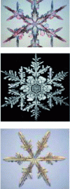 Figure 7 - Examples of snow crystals (after L. Bonnary [53])