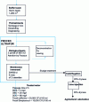 Figure 11 - Treatment process and effluent characteristics