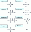 Figure 3 - Halogenated disinfection by-products