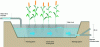 Figure 11 - Typical diagram of a horizontal flow planted filter