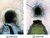 Figure 24 - Examples of frontal weir with crest contraction