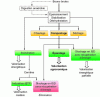Figure 1 - Main recovery (green) and disposal (red) processes for sewage sludge. Yellow: intermediate stabilization processes. In bold: preferred recovery processes (sources (among others): [4] and http://www.ademe.fr).